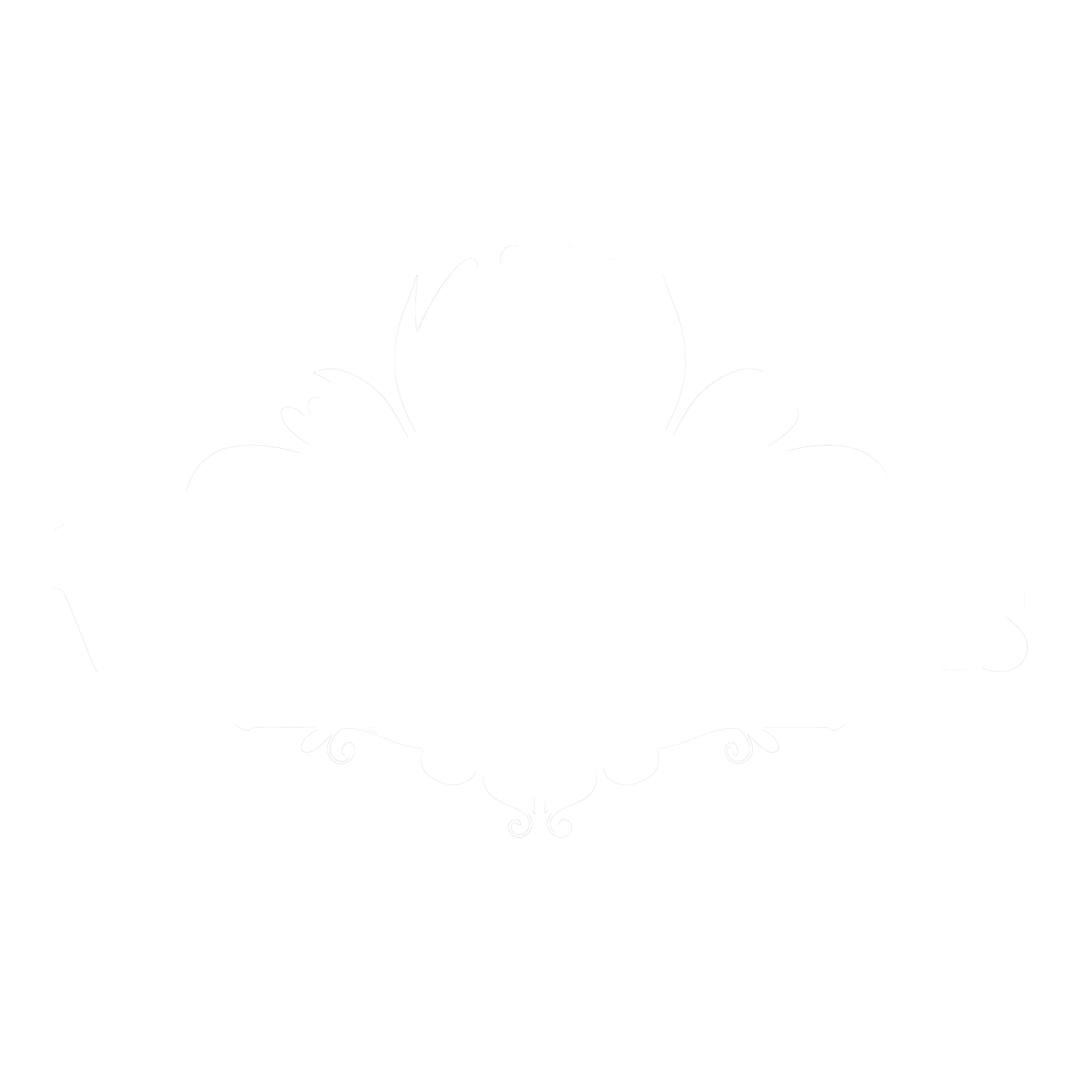 Villa Art Novis - Hotele premium